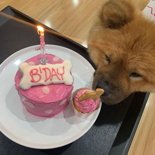 Load image into Gallery viewer, Banjo's Barkday Cake