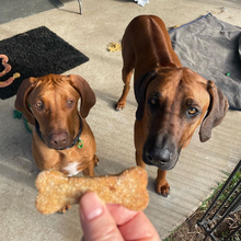 Load image into Gallery viewer, Gingerbread Man Bundle - Save 20%