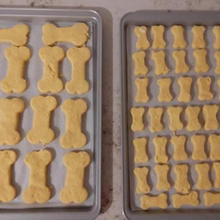 Load image into Gallery viewer, Pumpkin' Donuts! Biscuits Grain Free Baking Mix