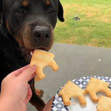 Load image into Gallery viewer, Pumpkin' Donuts! Biscuits Grain Free Baking Mix