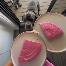 Load image into Gallery viewer, It's my Barkday Box - Save 20%