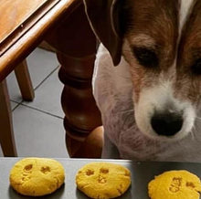 Load image into Gallery viewer, Biccies Galore 500g Pack - SAVE 20%