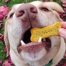 Load image into Gallery viewer, Gingerbread Man Bundle - Save 20%