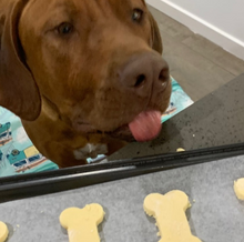 Load image into Gallery viewer, BoBo Biscuits Grain Free Baking Mix