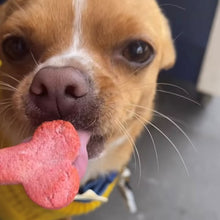 Load image into Gallery viewer, Biccies Galore 500g Pack - SAVE 20%