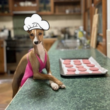 Load image into Gallery viewer, Host a Best Friends Day Charity Fundraiser in your Early Learning Centre