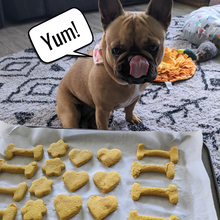 Load image into Gallery viewer, Host a Best Friends Day Charity Fundraiser in your Early Learning Centre