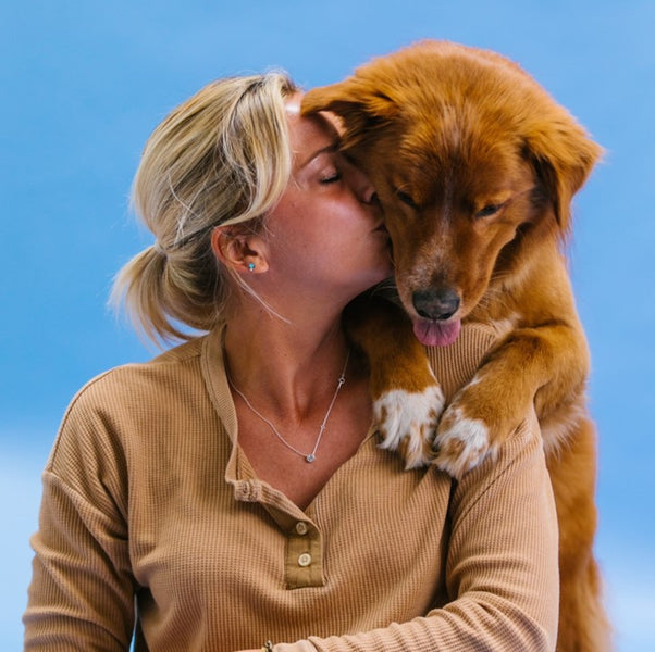 Is Cinnamon Good For Dogs?